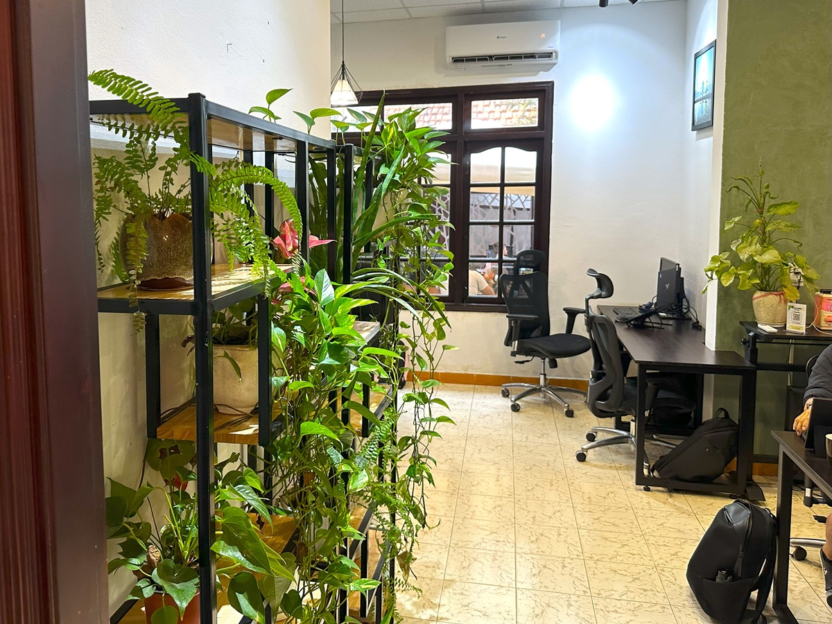Coworking Danang の緑のあるワークスペース